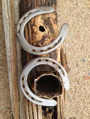 horseshoes